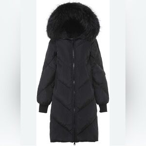 Women's Black Hooded Puffer Coat
